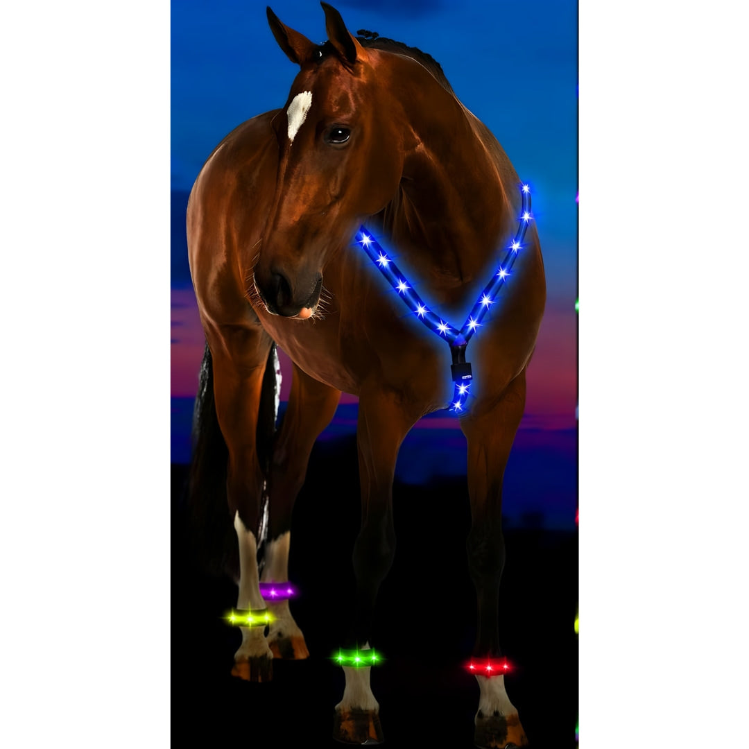 The Stylish & Safe Led Horse Lights Kitchen Soufflé